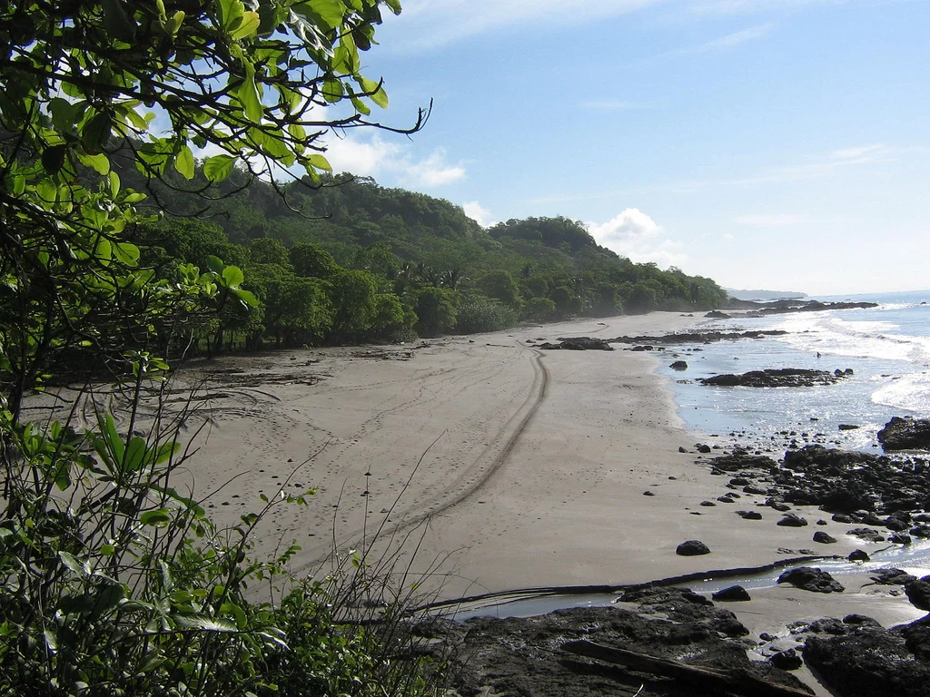 Playa Hostional Nosara