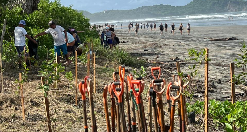 People in Nosara return the forest